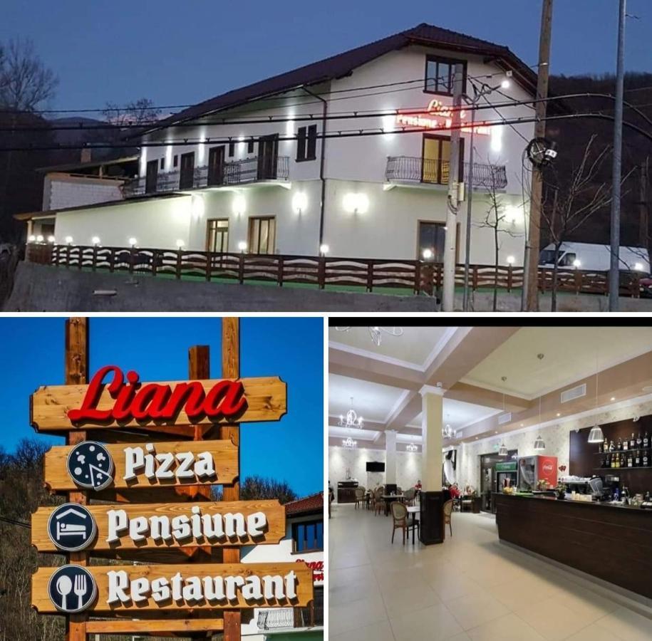 Pensiune Restaurant Liana Mehadija エクステリア 写真